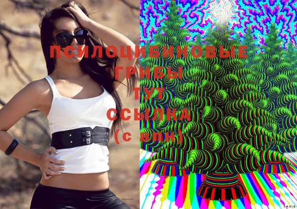 мяу мяу кристалл Арсеньев
