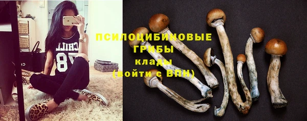 ALPHA-PVP Армянск