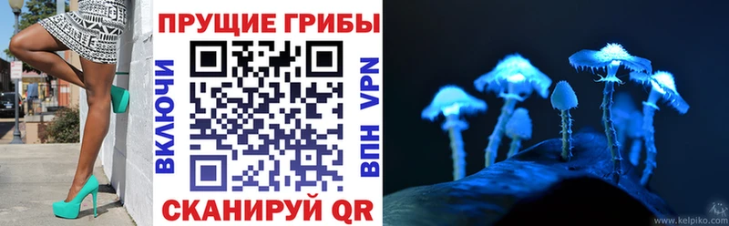 Галлюциногенные грибы Psilocybine cubensis  Сосновый Бор 